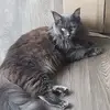 Keith Leslie - @keith.leslie7 - TikTok