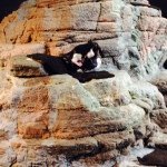 Colby Keith Libby Brooks - @colby_brooks43 - Instagram