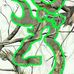 Keith Lindeman - Facebook