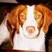 Keith Lindeman - Facebook