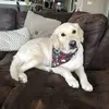 Keith Louis - @keith.louis5 - TikTok