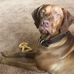 Keith Lowell - @hrclydes - Instagram
