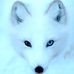 Keithy Lunt - Facebook