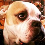 lunt2 - @keithlunt75 - Instagram
