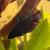 Maddy - @maddy.keith - TikTok