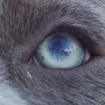 Keith Maes - @keithmaes - Instagram