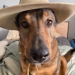 Keith Maestas - @keith.maestas - Instagram