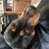 keithmagee576 - @keithmagee576 - TikTok