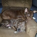 Keith Marcus - @keithmarcus51 - Instagram