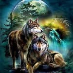 Keith Marriott - @opawolf48 - Instagram