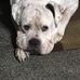 Keith Marston - Facebook