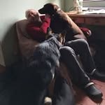 Keith Marston - @keith.marston - Instagram