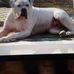 Keith Marston - Facebook