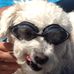 Keith Mattson Real Estate- State Wide - Facebook