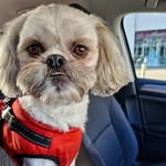 @keithmcateer - Instagram