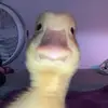 Keith McCune - @user4021183670587 - TikTok