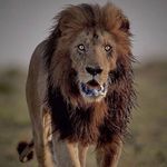 Keith McGee - @kbarrels72 - Instagram