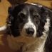Keith McHugh - Facebook