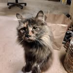 Keith McMahan - @kmcmahan7175 - Instagram