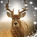 Keith McMahan - Facebook
