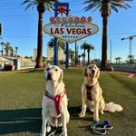 Keith McNamara - @keith.mcnamara - Instagram