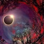 Keith Mcneely - @keith.mcneely.7146 - Instagram