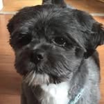 Keith Mcquade - @mcquadekeith - Instagram