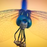Keith Medlin - @texasfocused - Instagram