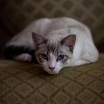 Keith Medlin - @keith_medlin - Instagram