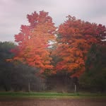 Keith Metzger - @keith.metzger.1084 - Instagram