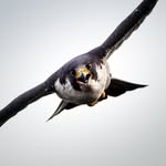Keith T. Metzger - @keithmetzgerphotography - Instagram