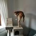 Keith Michelsen - Facebook