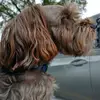 Keith Molnar - @keith.molnar8 - TikTok
