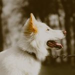 Keith Monahan - @keithmonahan2026 - Instagram