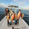 Keith Morrison - @gc_freediving - TikTok