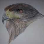 Keith Mortimer - @keitheeyor - Instagram