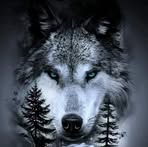Keith Moser - Facebook