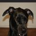Keith Mowery - Facebook