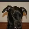 keithmowery73 - @keith.mowery - TikTok