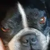 keithmoyer55 - @keithmoyer55 - TikTok