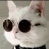Keith Munoz - @keith.munoz - TikTok