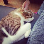 Keith Munroe - @grundyrapkissez - Instagram