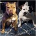 Keith Murray - Facebook