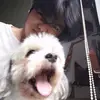 NEILSEN - @neilsen.keith.lim - TikTok