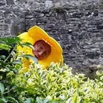 Keith Newton - @cheifnewton - Instagram