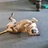 Keith Newton - @keith.newton07 - TikTok