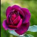 Keith Null - Facebook