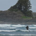 Keith Olson - @olyvet11 - Instagram