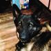 Keith Olson - Facebook
