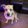 keitholson9539 - @keitholson9539 - TikTok